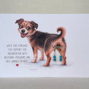 Hond - oorbel turquoise