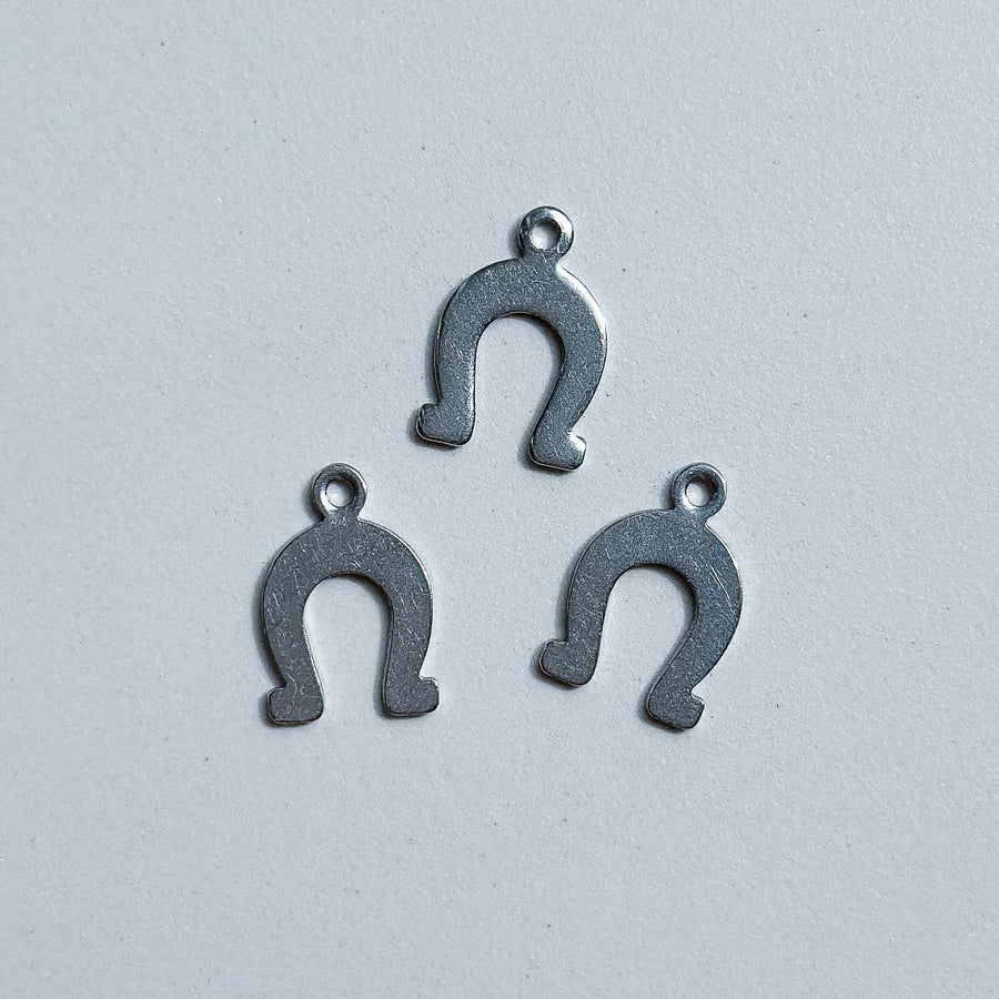 Horseshoe Charm