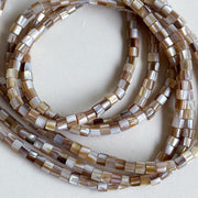 Schelp bruin - disc