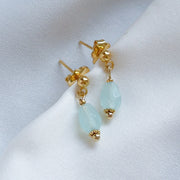 Studs amazoniet