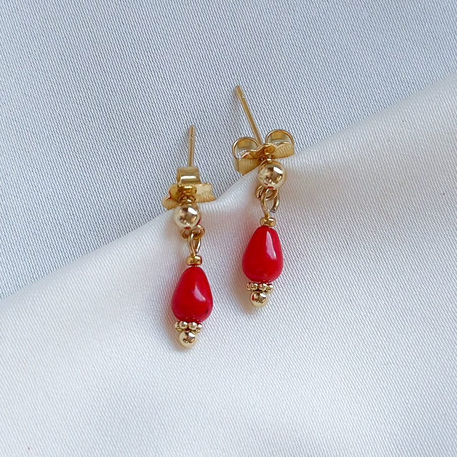 Studs coral