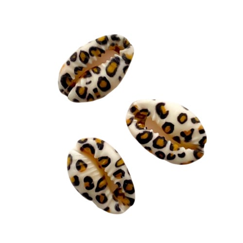 Printed Cowrie Shell: animal print